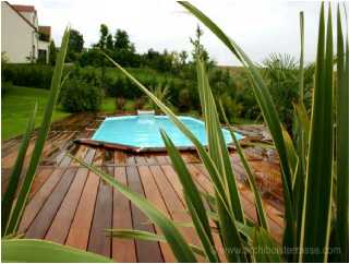 amenagements paysagers de piscine pose de vegetaux