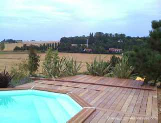 plage de piscine plantation arbustes et arbres